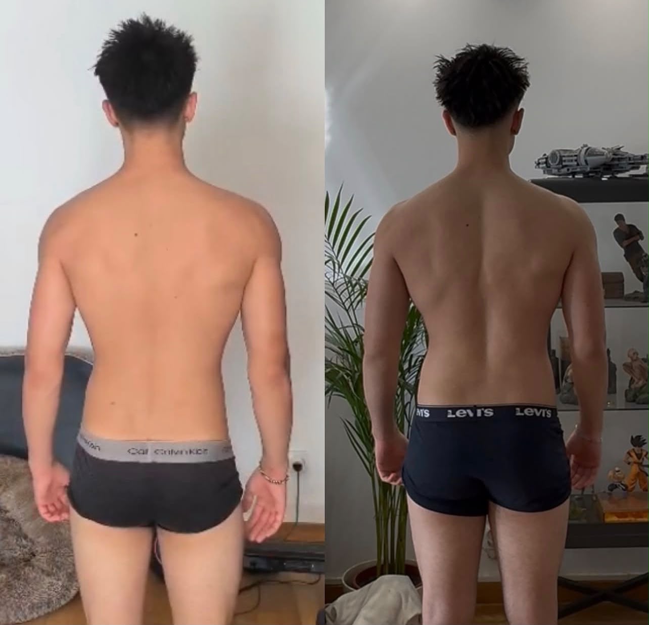 Transformación espalda